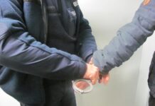 Mieszkaniec gminy Zaleszany odpowie za zabicie psa