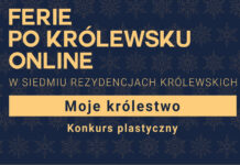 Uczeń PSP w Obrazowie laureatem ogólnopolskiego konkursu “Moje królestwo”