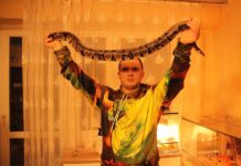 Hodowla Pytona Królewskiego w domu. Z wizytą u Krzysztofa Kafary