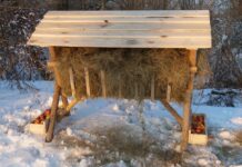 Na stalowowolskich błoniach stanął paśnik