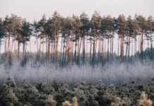 Jak wygląda powiat niżański zimą? Rozstrzygnięcie konkursu fotograficznego