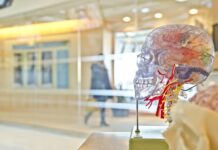 15-19 marca Tydzień Mózgu, tym razem online